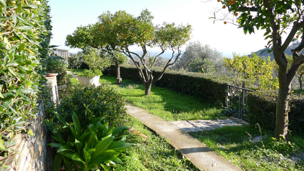 Borgo Muratori immersa nel verde