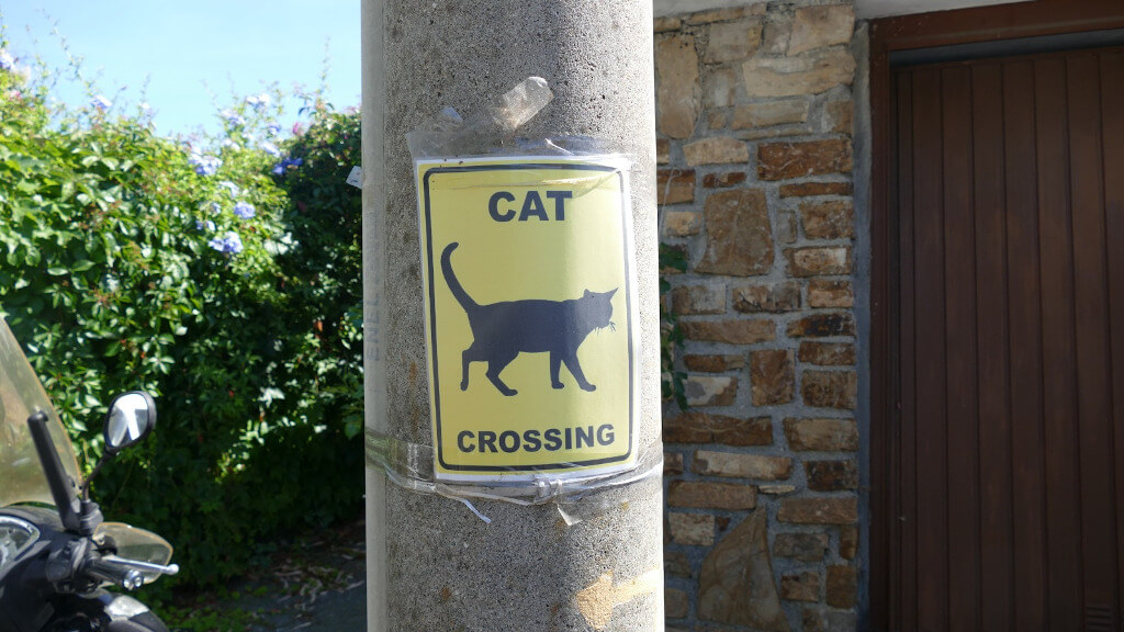 Il cartello che segnala la presenza di gatti