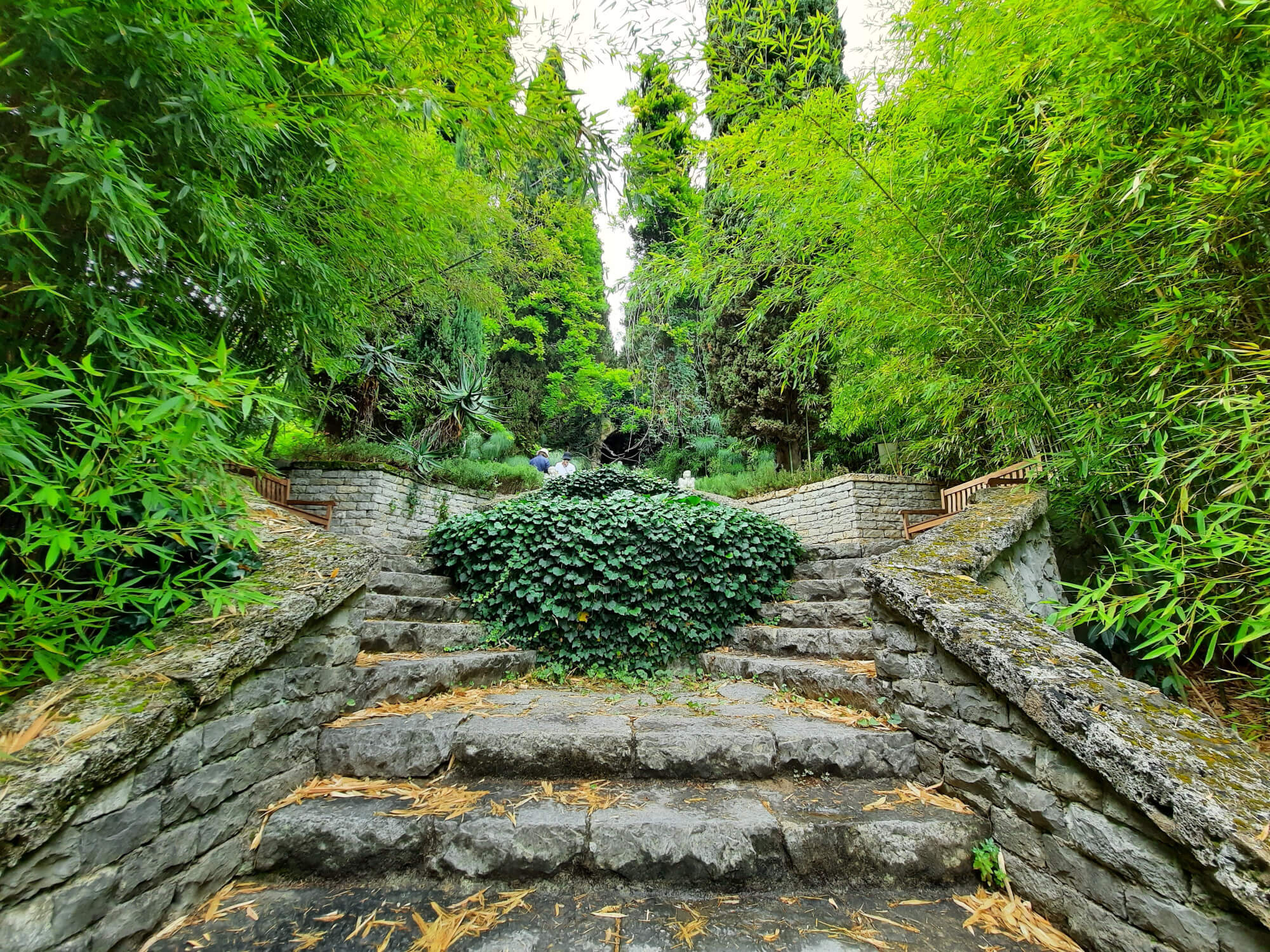 Passeggiando tra i Giardini Hanbury