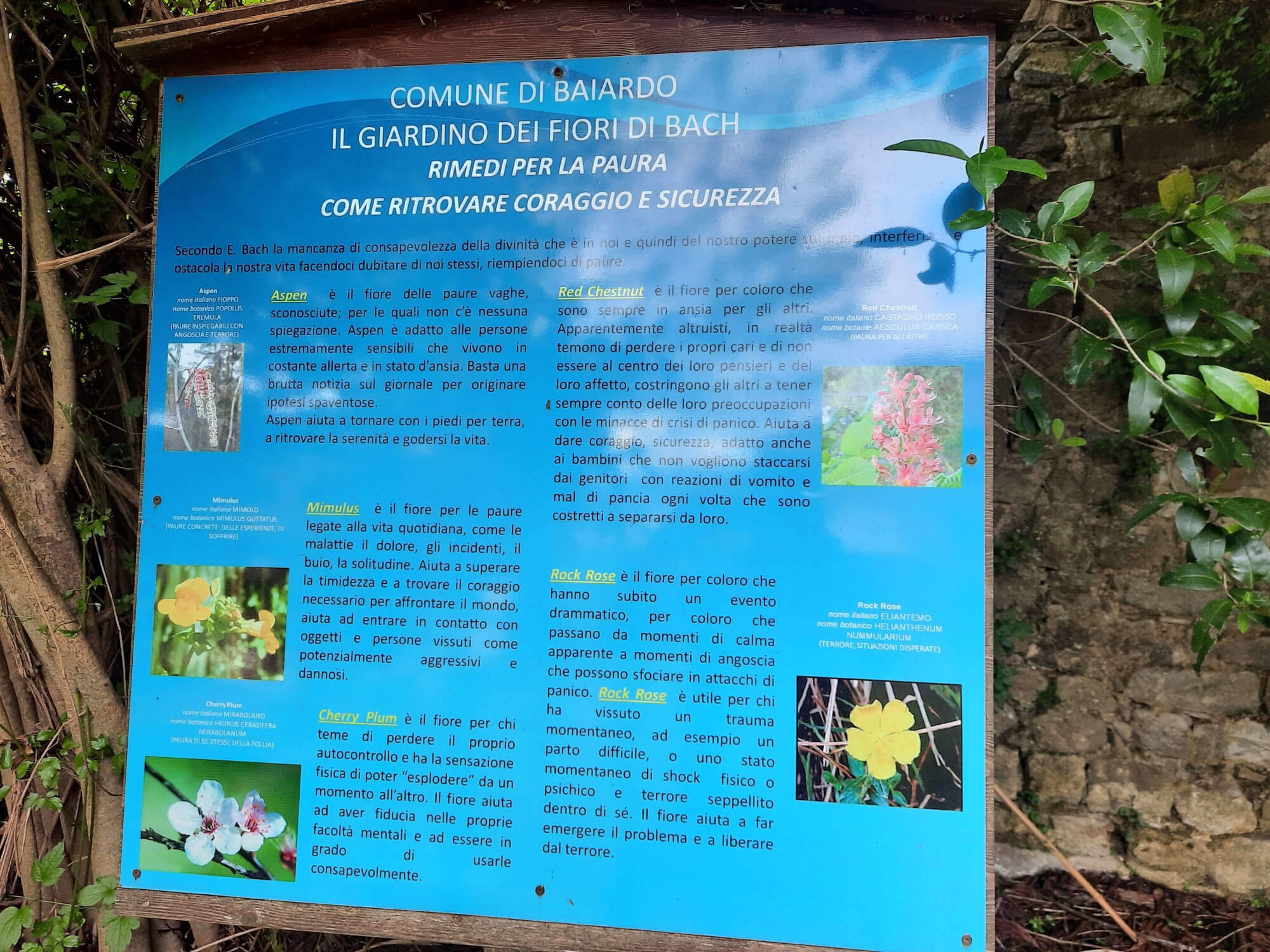 L’ingresso al giardino dei fiori di Bach