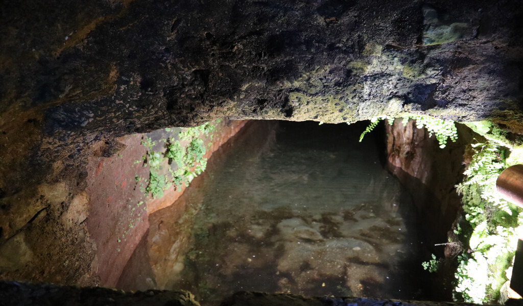 Lona all’interno di un’abitazione privata