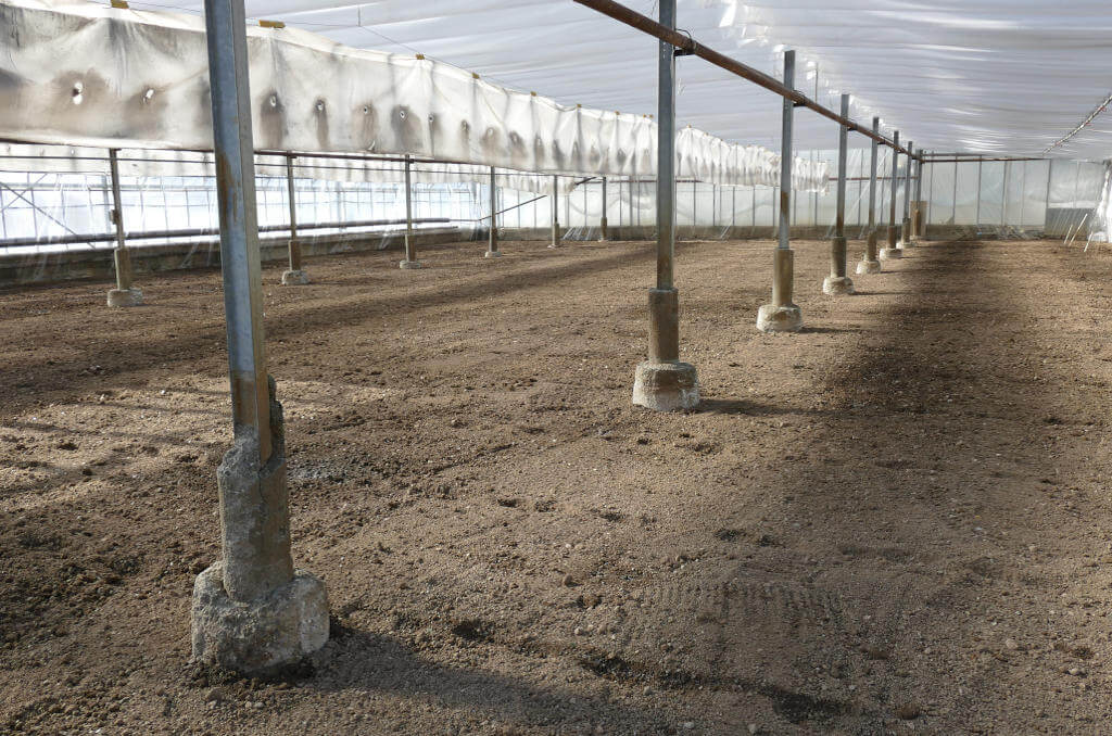 La preparazione del terreno nel serre per il basilico Immagine della preparazione del terreno nelle serre