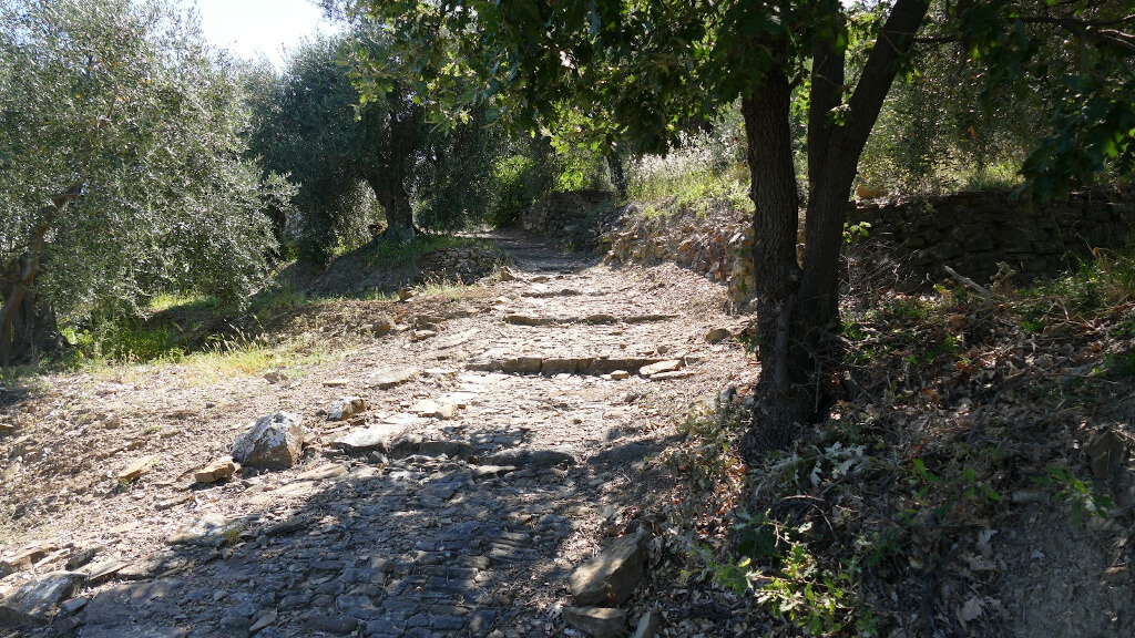 Una mulattiera tra le fasce a Diano Serreta
