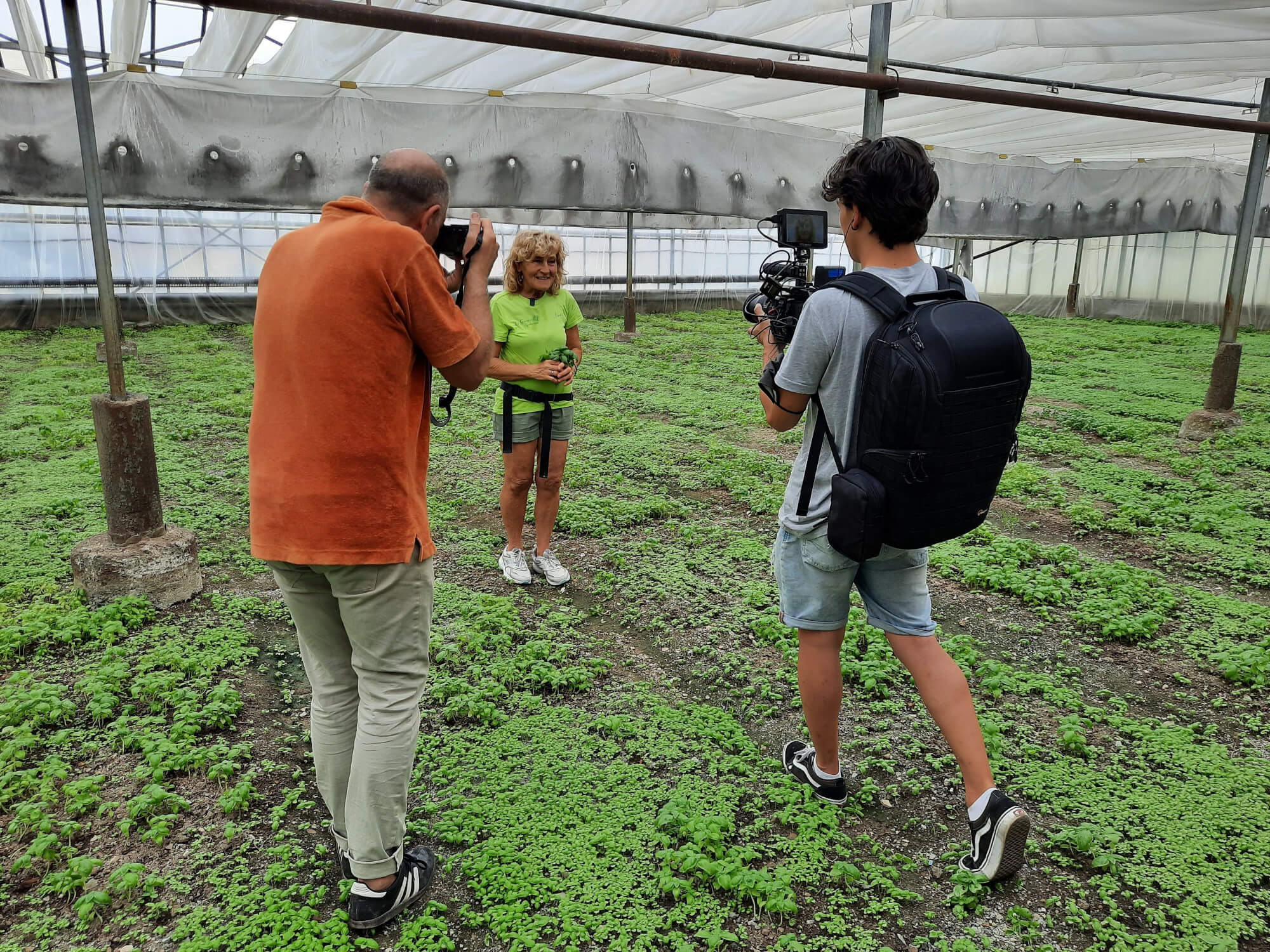 Il consorzio di tutela basilico genovese dop in agriturismo