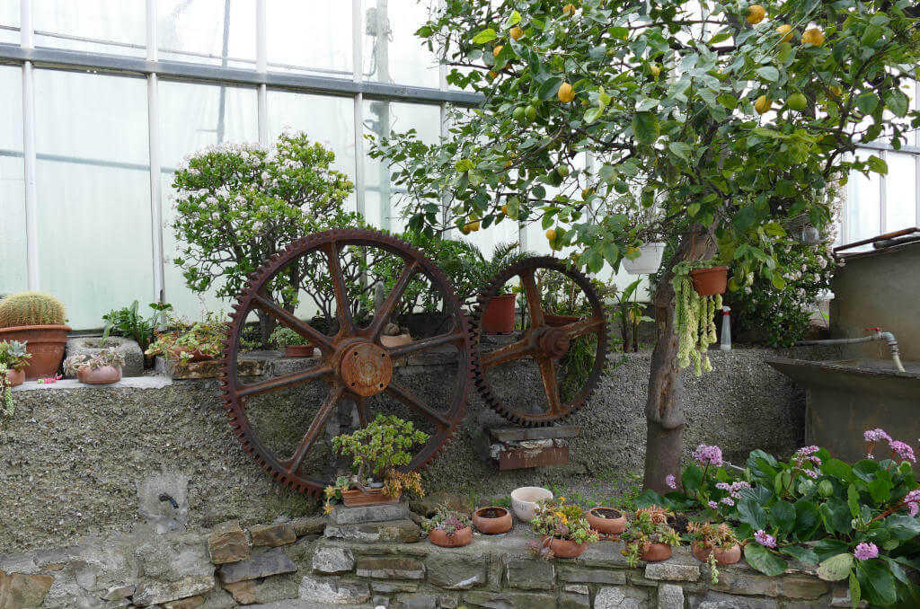 Immagine di reperti storici nell’Azienda Agricola