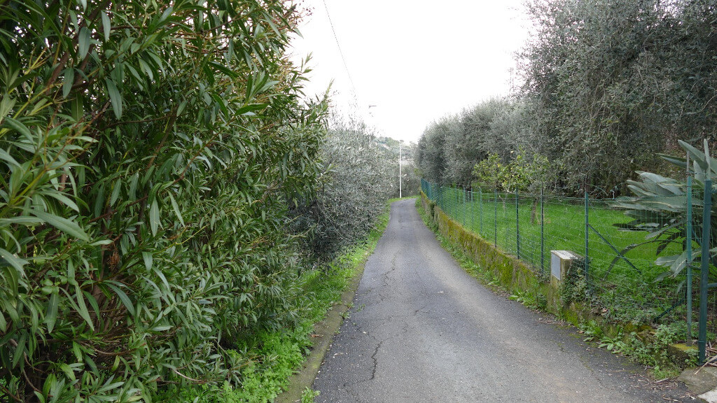 Strada asfaltata che conduce a Diano San Pietro La strada asfaltata verso Diano San Pietro