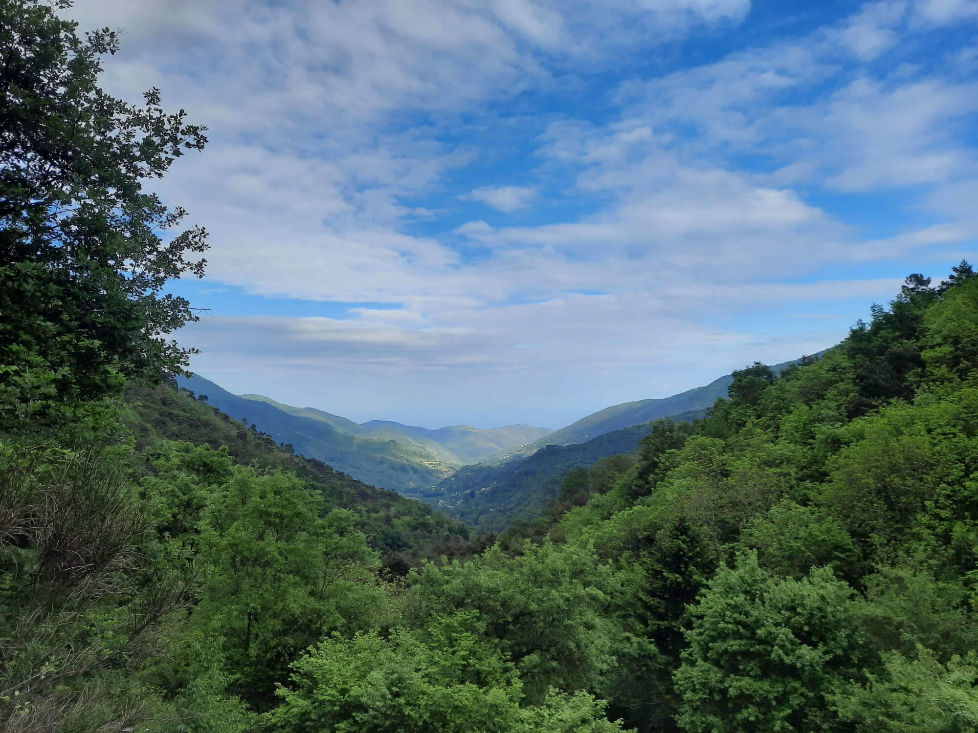 La vista del paesaggio sulla strada per Bajardo