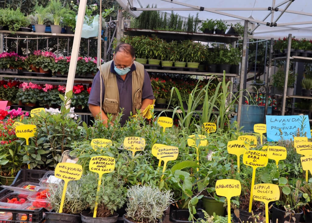 Uno stand di piante aromatiche Uno dei tanti stand di aromi