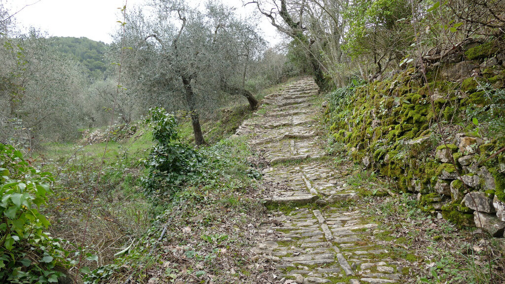 Mulattiera in via degli Alpini Una mulattiera lungo il sentiero di via degli Alpini