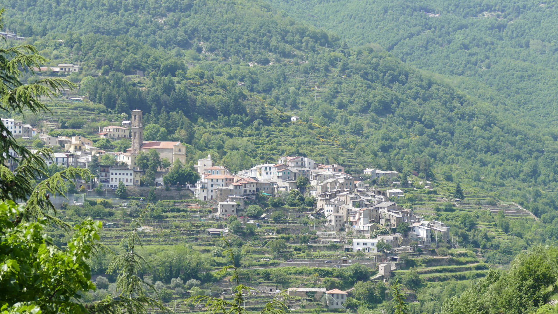 Alla scoperta della Valle Argentina: da Taggia a Carpasio