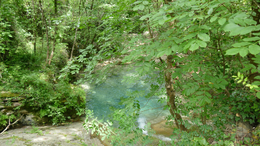 Laghetti a Lecchiore I laghetti nel bosco di Lecchiore